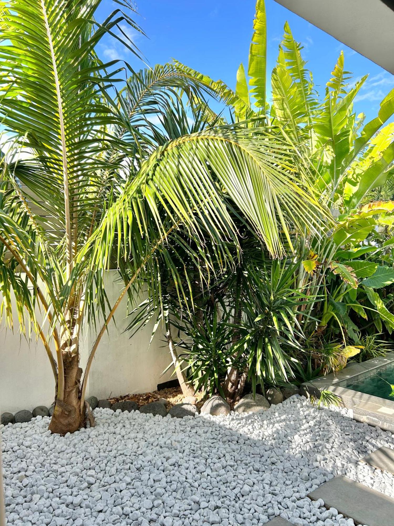 圣皮埃尔Le Yucca 974 By J&V别墅 外观 照片